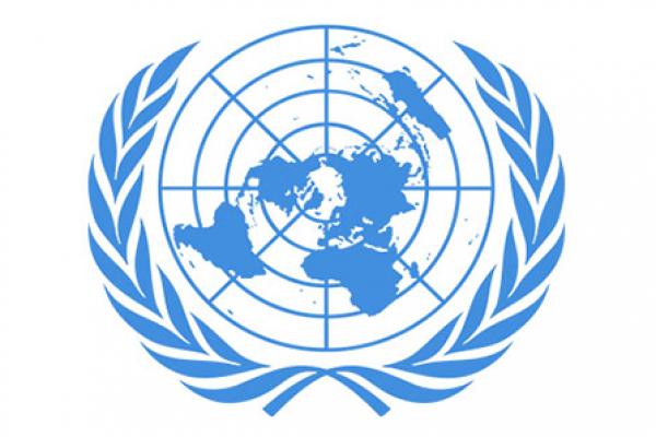 Organización de las Naciones Unidas ONU